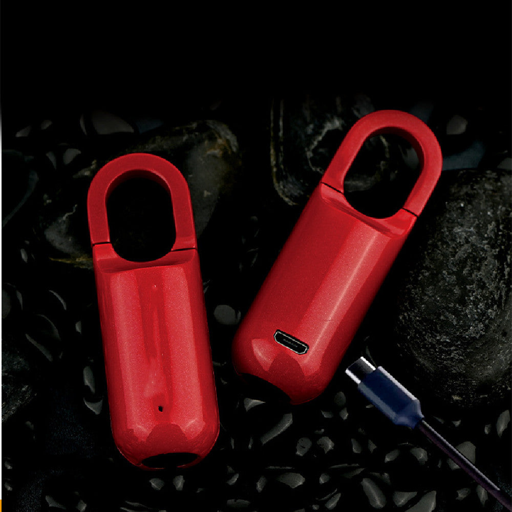 Cadenas rechargeable empreinte digitale pour sac, valise, casier, voyage