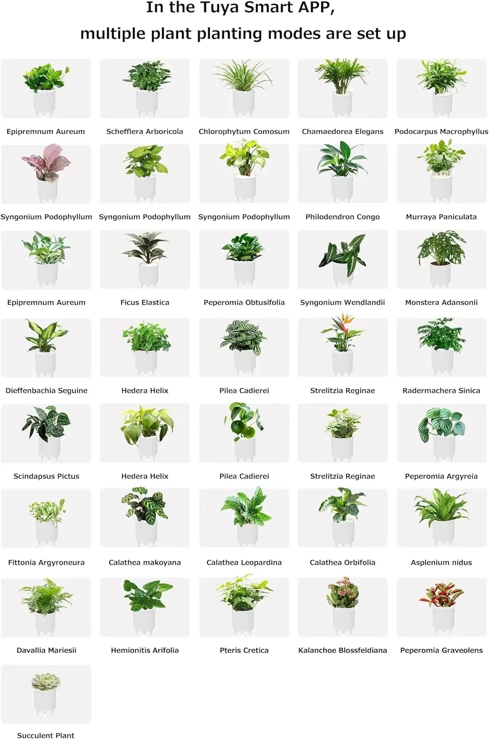 Jardinière Intelligente Ivy 49 Expressions 7 Capteurs AI