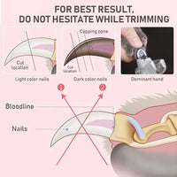 Ciseaux coupe griffes LED pour animaux chat chien