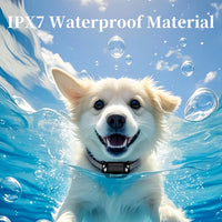 Collier électronique chien toutes tailles 800m étanche LCD choc vibration