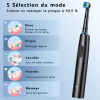 Brosse à dents électrique rechargeable étanche avec 8 têtes