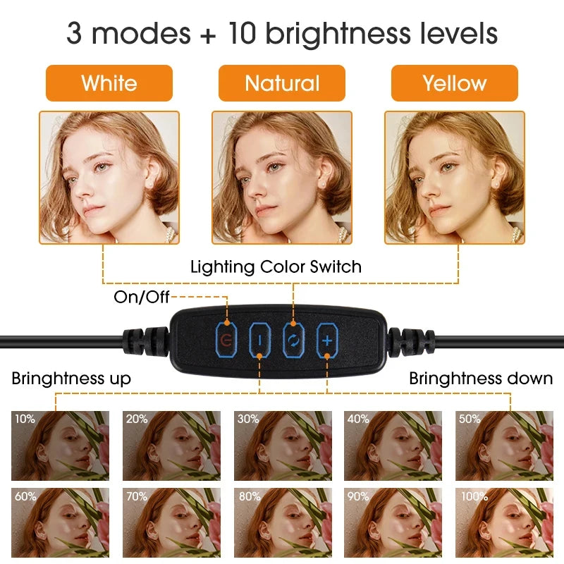 Anneau lumineux LED pour Selfie, 10 pouces, lampe de remplissage à intensité variable pour photographie, avec Mini trépied, pour téléphone portable, vidéo en direct, Studio Photo