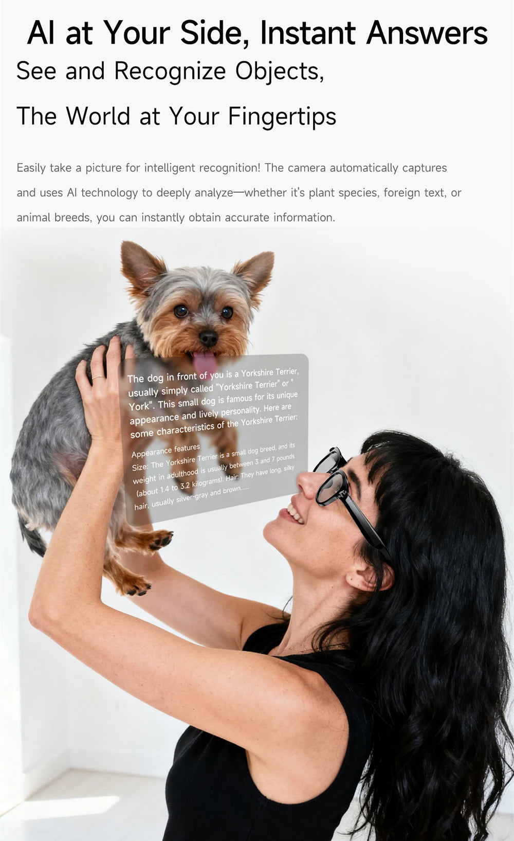 Lunettes Intelligentes AI Traduction Caméra Bluetooth Audio