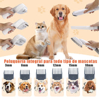 Kit toilettage aspirateur 2,5L MicroData chiens chats multifonction
