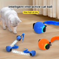 Jouet interactif rechargeable USB balle automatique chiens chats